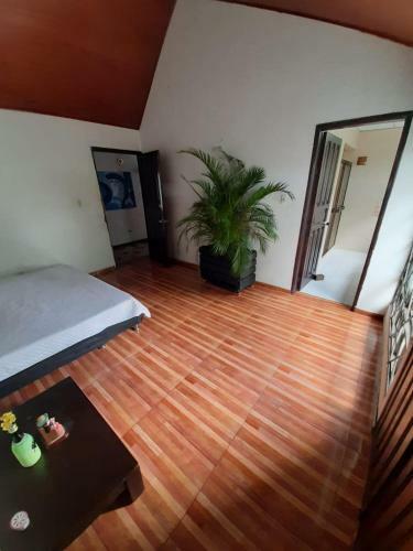 Hotel Confort House Acacias