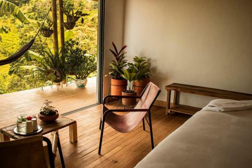 Bed & Breakfast El Fenix Farmstay