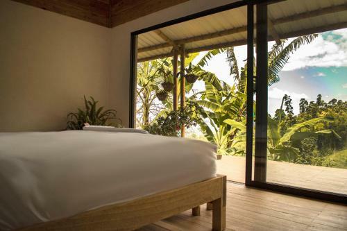 Bed & Breakfast El Fenix Farmstay