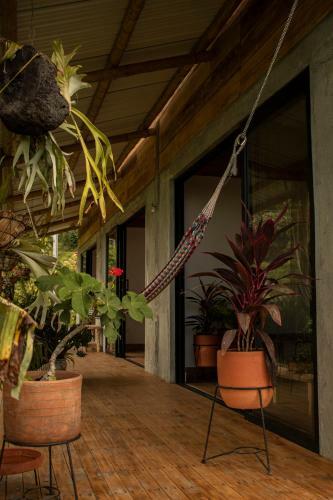 Bed & Breakfast El Fenix Farmstay
