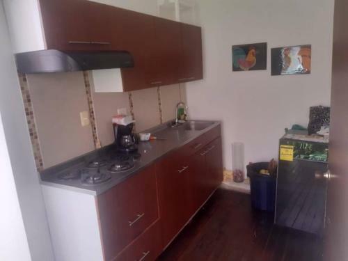 Apartamento Parrot Browm Pe�on