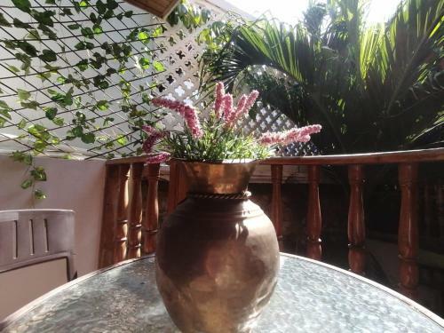 Hostal Casa Mam� Waldy New