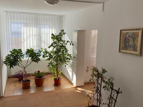 Hostal Pension Artemis