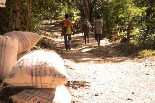 Hospedaje Los Pinos, Caba�a En Minca