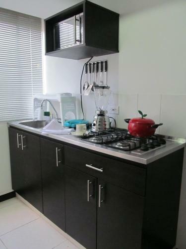 Guaduales Del Caf�-apartamento Tur�stico