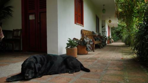 Lodge Finca La Argelia