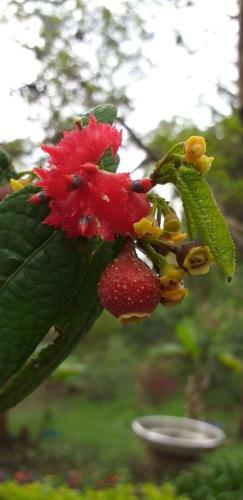 Finca La Herradura Alojamiento Rural