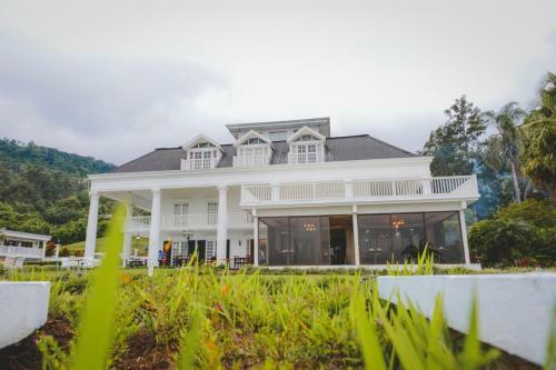 Hotel Fogo Resort
