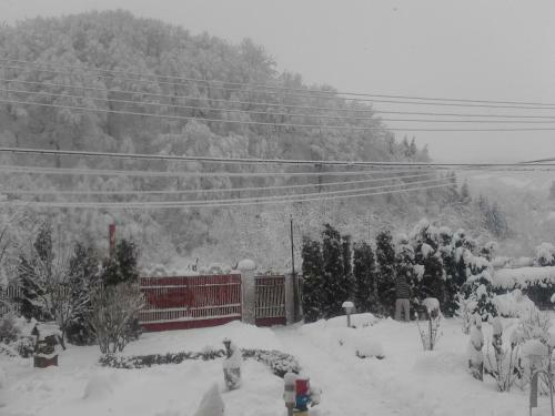 Hostal Pensiunea Doru