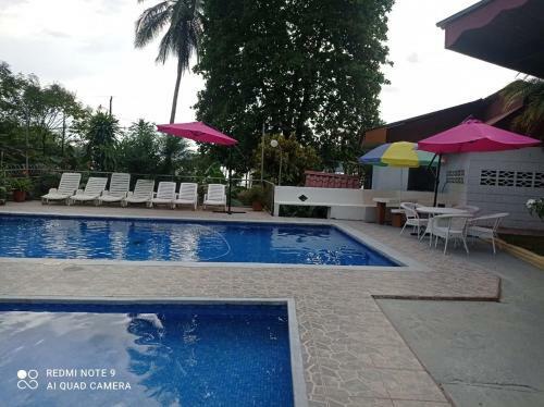 Hotel H�tel Pez Gallo