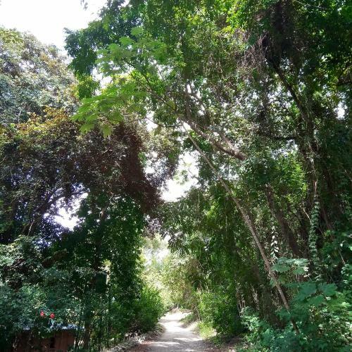 Bed & Breakfast Casa Pi�a