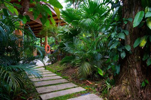Bed & Breakfast La Paz Del Caribe