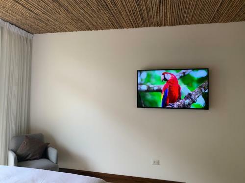 Bed & Breakfast Poza Blanca Lodge