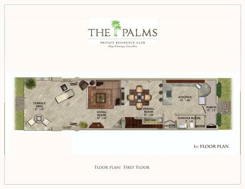 Palms 19