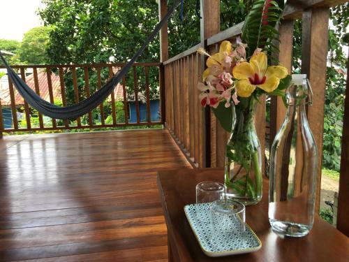 Hostal Tortuguero Casa Pelican