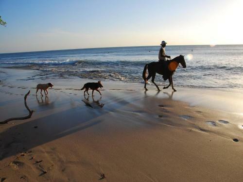 Amazing Ocean Views From This Nicely Equipped Condo