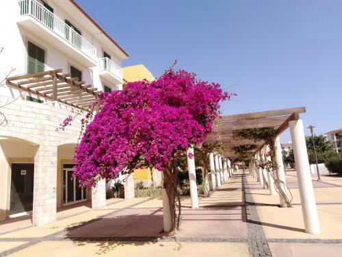 Apartamento Casa Orangina In Vila Verde