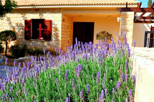 Villa In Kouklia Sleeps 6 Includes Swimming Pool Air Con And Wifi