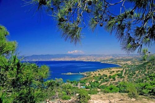 Cyprus Villa Minutes From The Beach, Protaras Villa 1245