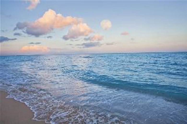 Hotel Radisson Resort Miami Beach