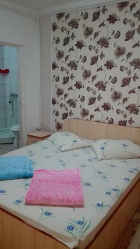 Hostal Vila Emy Constanta