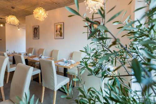 Hostal Exclusive Penzion Viva Residence