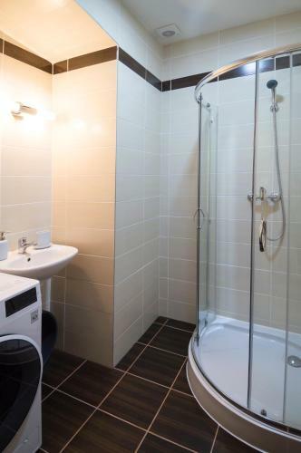 Apartment Za Poricskou Branou