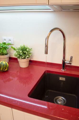 Apartment Za Poricskou Branou