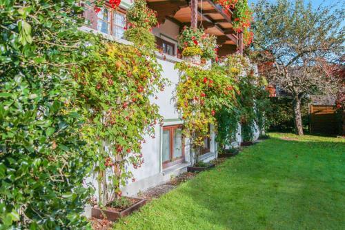Apartamento Ferienwohnung Krenn 1