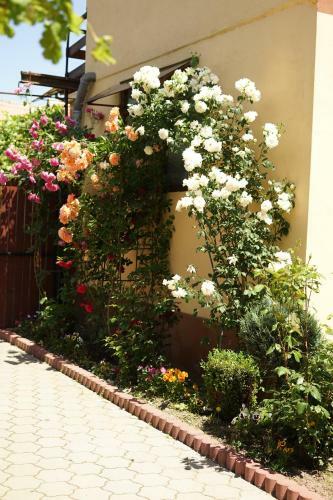 Agroturismo Casa Ciortea Ana
