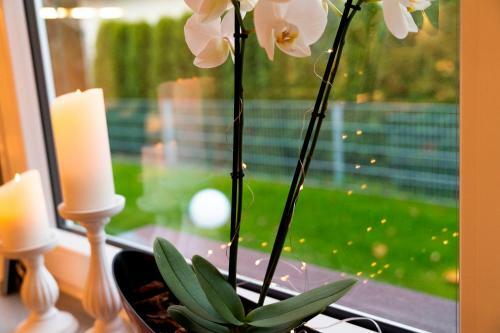 Ferienhaus Gl�cksmoment