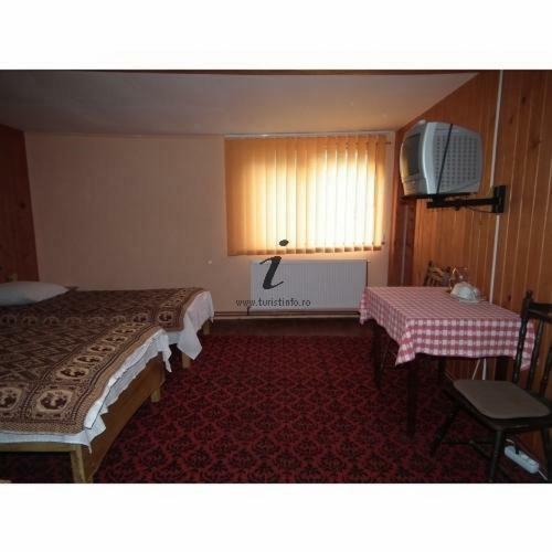 Hostal Pensiunea Irina Zarnesti 3