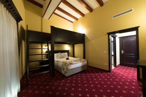 Hostal Vila Steaua Nordului