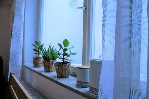 Bodensee Apartment Ailingen Onkel Fritz