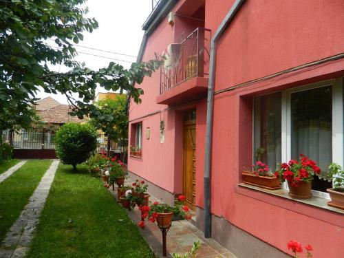 Hostal Cazare Vio