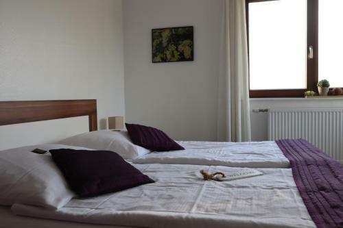 Hotel G�stehaus Rheinblick
