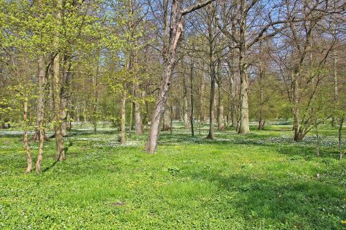 Apartamento Ferienwohnung Breege Rueg 1951