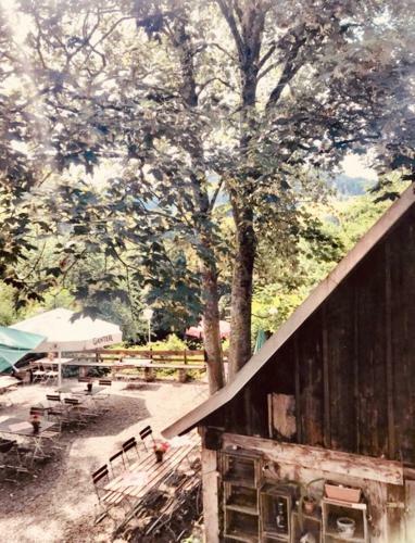 Hotel Gasthaus Birke