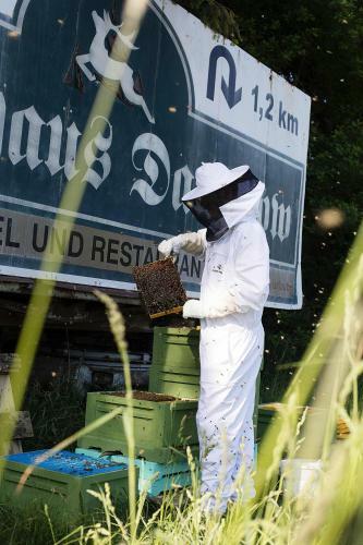Semi-detached Houses Koserow - Dos08143-lya