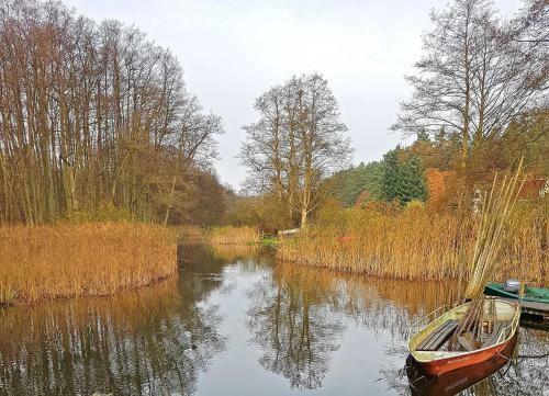 Ferienhaus Im Wald Luebberstorf We