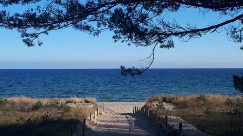 Apartamento Villa Strandmuschel Ferienwohnung