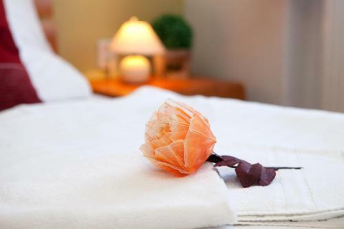 Hostal Penzion Oregano T?ebo?