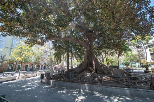 Apartamento Aires Mediterr�neos