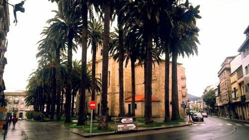 Albergue Albor