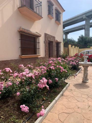 Apartamento Habitaciones Rurales Venta Pedro