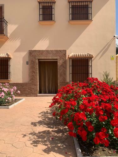 Apartamento Habitaciones Rurales Venta Pedro