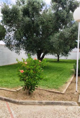 Villa Chalet Con Piscina Privada Chiclana