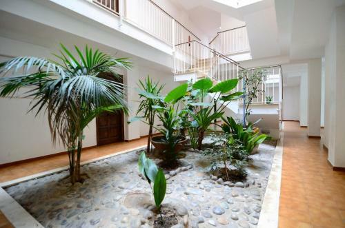 Apartamento Jardins Del Mar 56