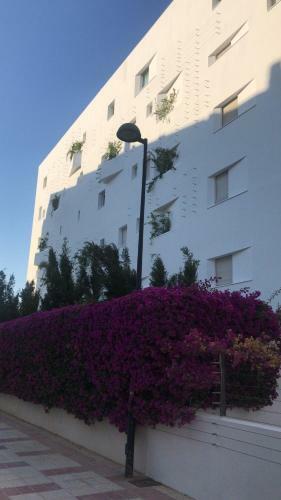 Apartamento La Maison Blanche Ibiza