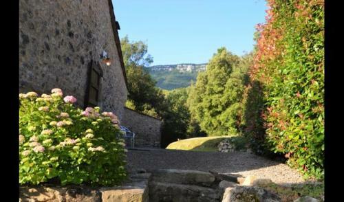 Les Planes D'hostoles Villa Sleeps 14 With Pool